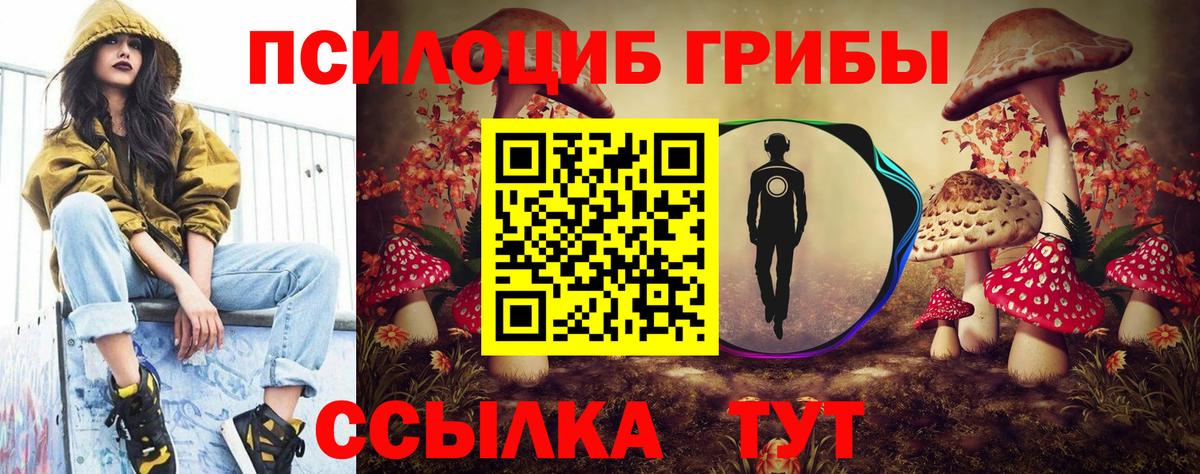 Псилоцибиновые грибы Psilocybe  купить наркоту  Нововоронеж  Вход с VPN 